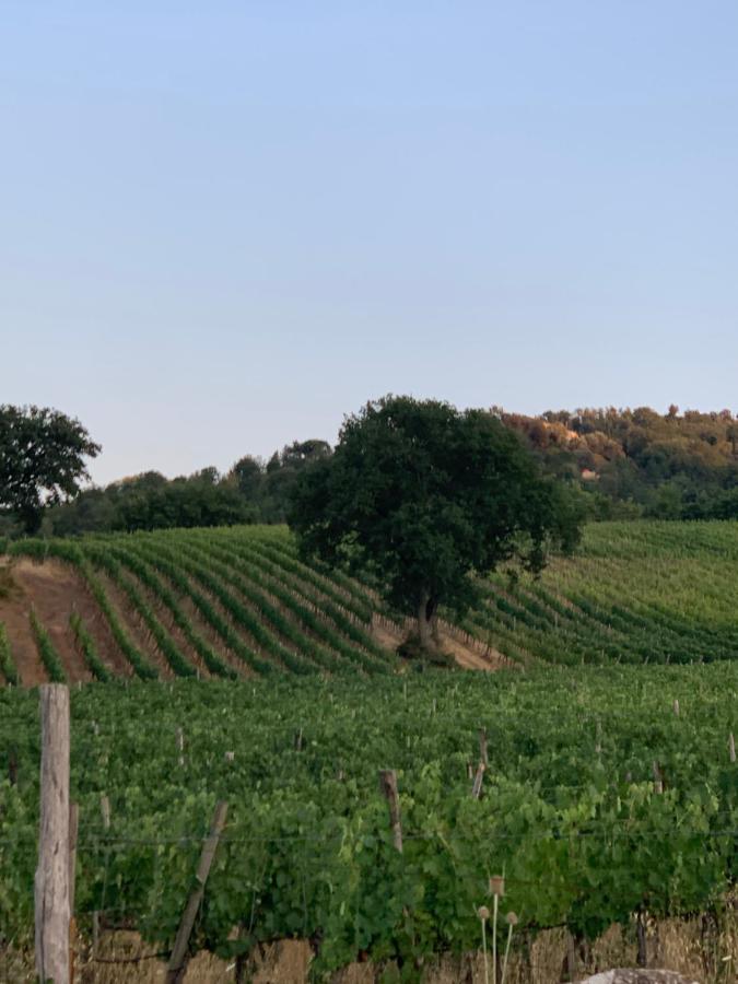 Podere le Mulina Castiglione dʼOrcia Extérieur photo